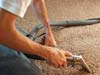 Carpet Cleaning