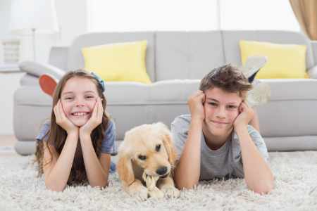 Boy and girl laying on a carpet with their golden retriever dog. Carpet Cleaning CT.